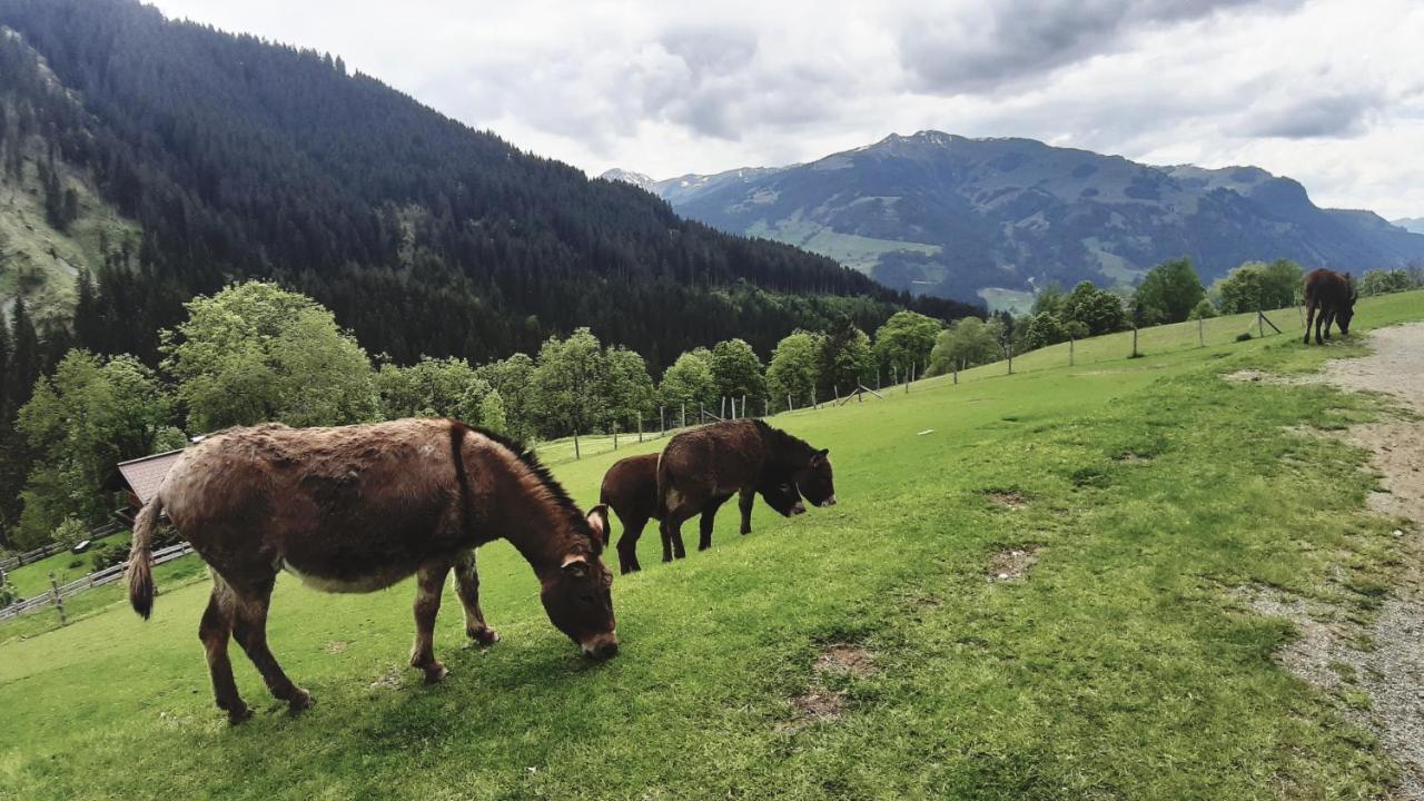 Privatzimmervermietung Foidlbauer Oberndorf en Tyrol Extérieur photo
